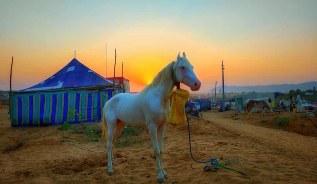 Hotel Galaxy Inn Pushkar Luaran gambar